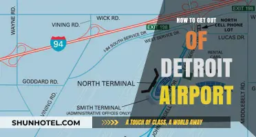 Navigating Detroit Airport: Quick Exit Tips for Travelers