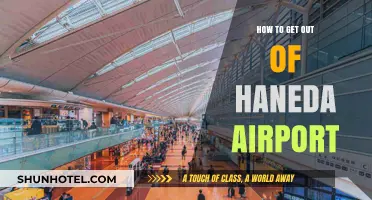 Navigating Haneda Airport: Quick Exit Tips for Travelers
