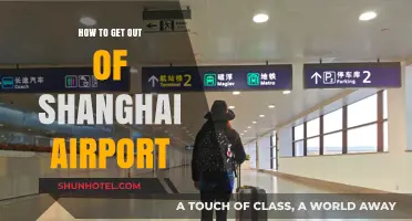 Navigating Shanghai Airport: Quick Exit Tips for Travelers