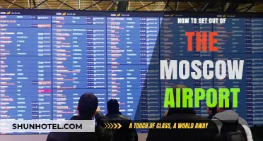 Navigating Moscow Airport: Quick Exit Tips for Travelers