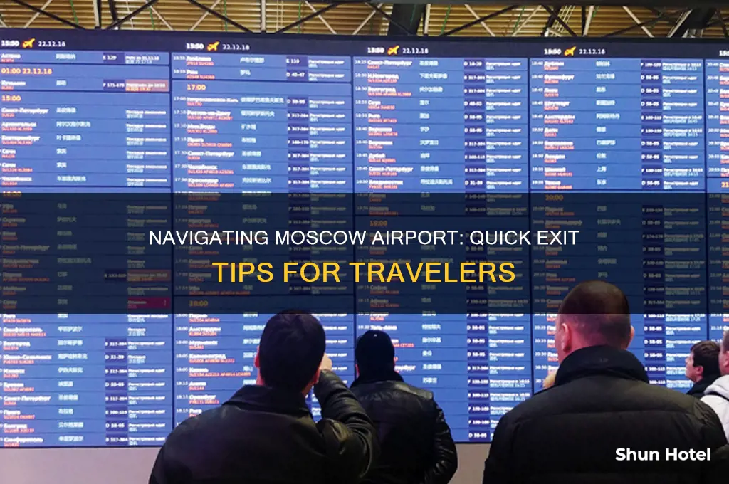 how to get out of the moscow airport