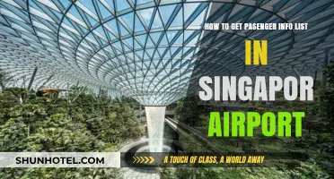 Accessing Passenger Info Lists at Singapore Airport: A Step-by-Step Guide