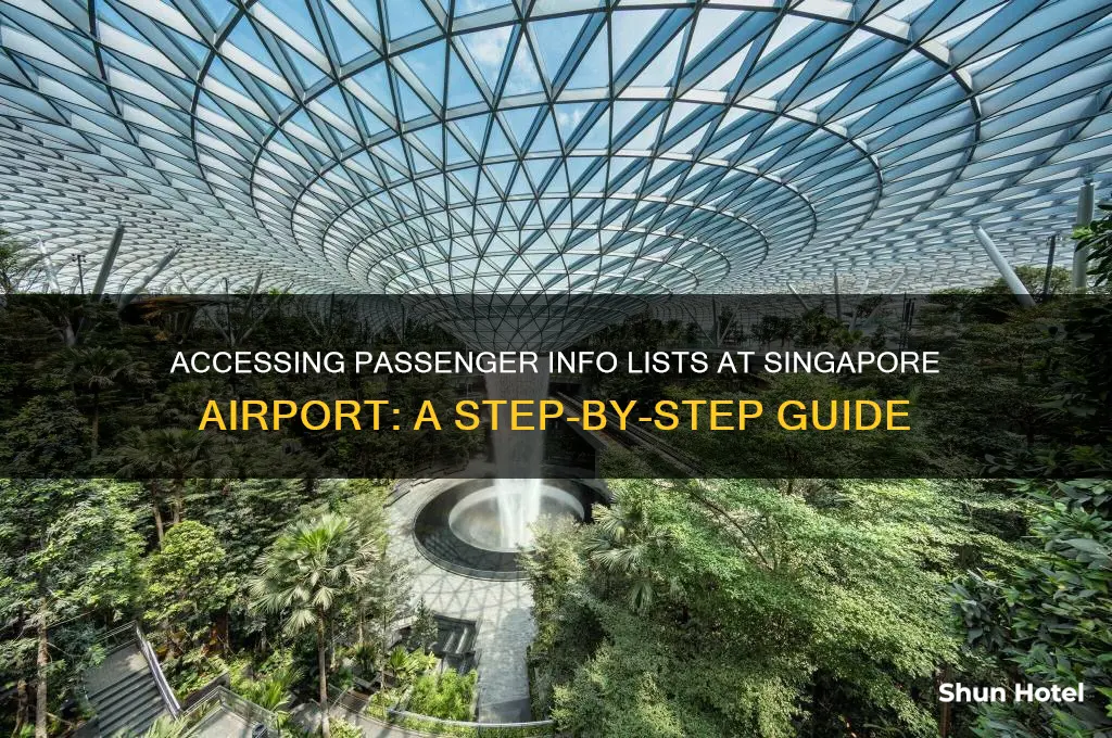 how to get pasenger info list in singapor airport