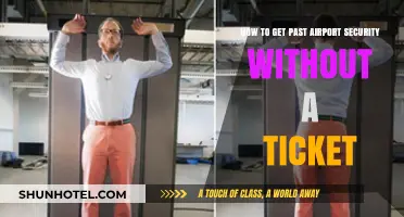 Sneak Through Airport Security Without a Ticket: Tips and Tricks