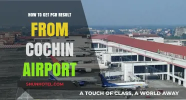 Quick Guide to Obtaining PCR Test Results at Cochin Airport