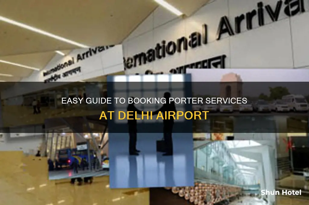 how to get porter at delhi airport