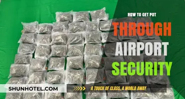 Sneaking Cannabis Through Airport Security: Tips and Tricks to Stay Stealthy