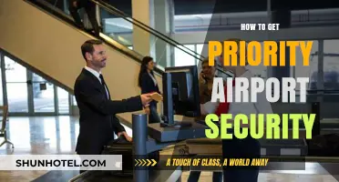 Skip the Lines: Tips for Priority Airport Security Access