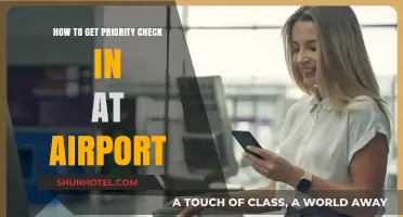 Unlock Priority Airport Check-In: Tips for a Seamless Travel Experience