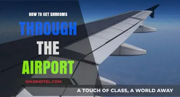 Traveling with Shrooms: Tips to Safely Navigate Airport Security