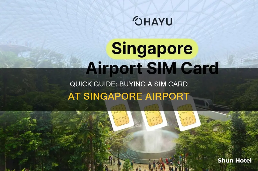 how to get sim card in singapore airport