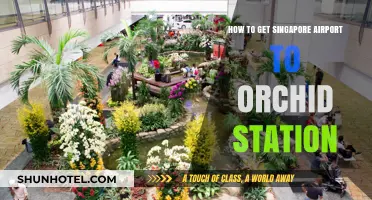 Easy Guide: Singapore Airport to Orchid Station Transport Options