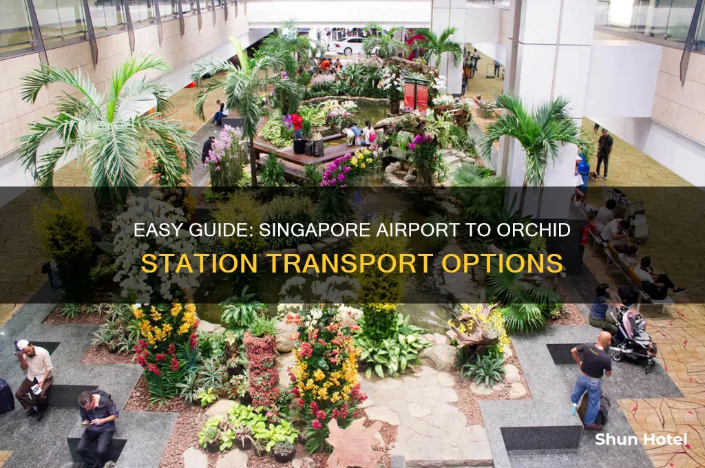 how to get singapore airport to orchid station