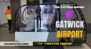 Navigating Gatwick Airport: Accessing Special Assistance for a Smooth Journey