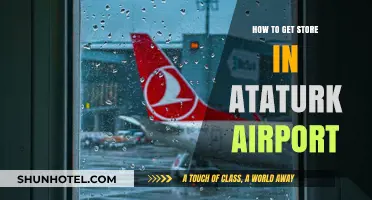 Navigating Ataturk Airport: A Quick Guide to Efficiently Store Your Luggage