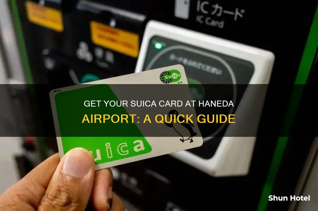 how to get suica card at haneda airport