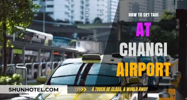 Easy Taxi Guide: Navigating Changi Airport's Transport Options