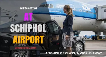 Easy Guide to Finding a Taxi at Schiphol Airport Quickly