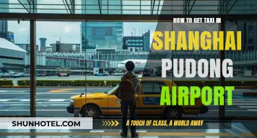 Easy Taxi Guide: Navigating Shanghai Pudong Airport Arrivals