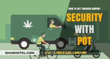 Traveling with Cannabis: Navigating Airport Security Legally and Safely