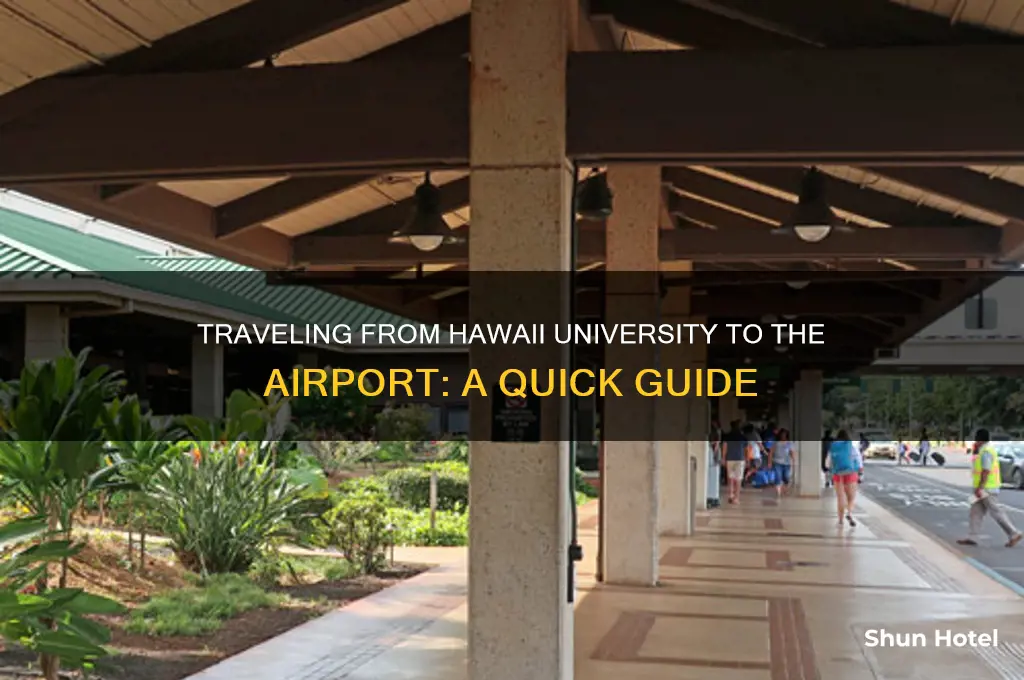how to get the airport from hawaii university