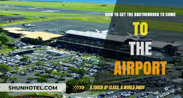 Summoning the Brotherhood: Strategies for Airport Meetups and Reunions