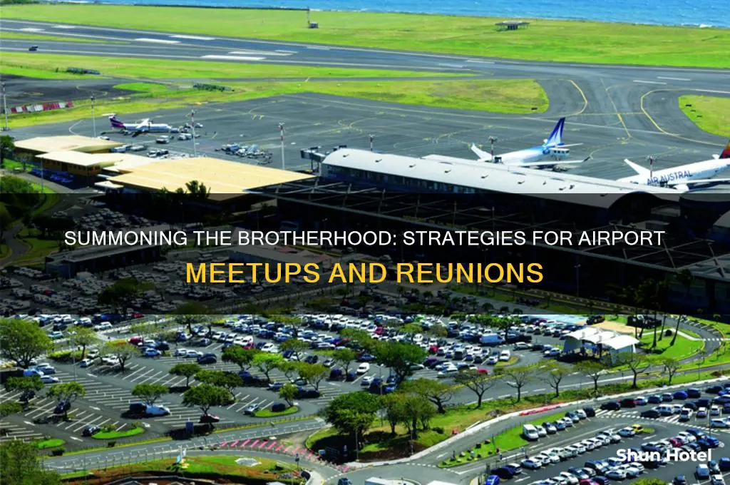 how to get the brotherhood to come to the airport