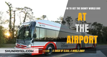 Catching the Disney World Bus: A Stress-Free Airport Guide