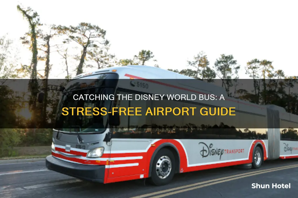 how to get the disney world bus at the airport