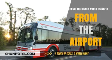 Disney World Airport Transfer Guide: Stress-Free Travel Tips and Tricks