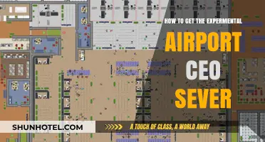 Accessing Airport CEO's Experimental Server: A Step-by-Step Guide