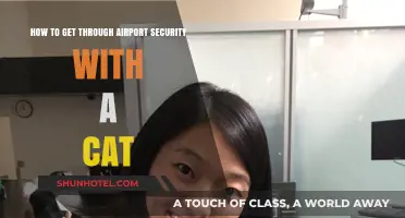 Traveling with Your Feline: Smooth Airport Security Tips for Cat Owners