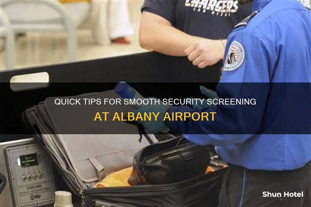 how to get through security at the albany airport