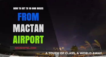 Travel Guide: Mactan Airport to 10,000 Roses Cebu Adventure
