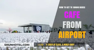 Travel Guide: Airport to 10,000 Roses Cafe in Cebu, Philippines