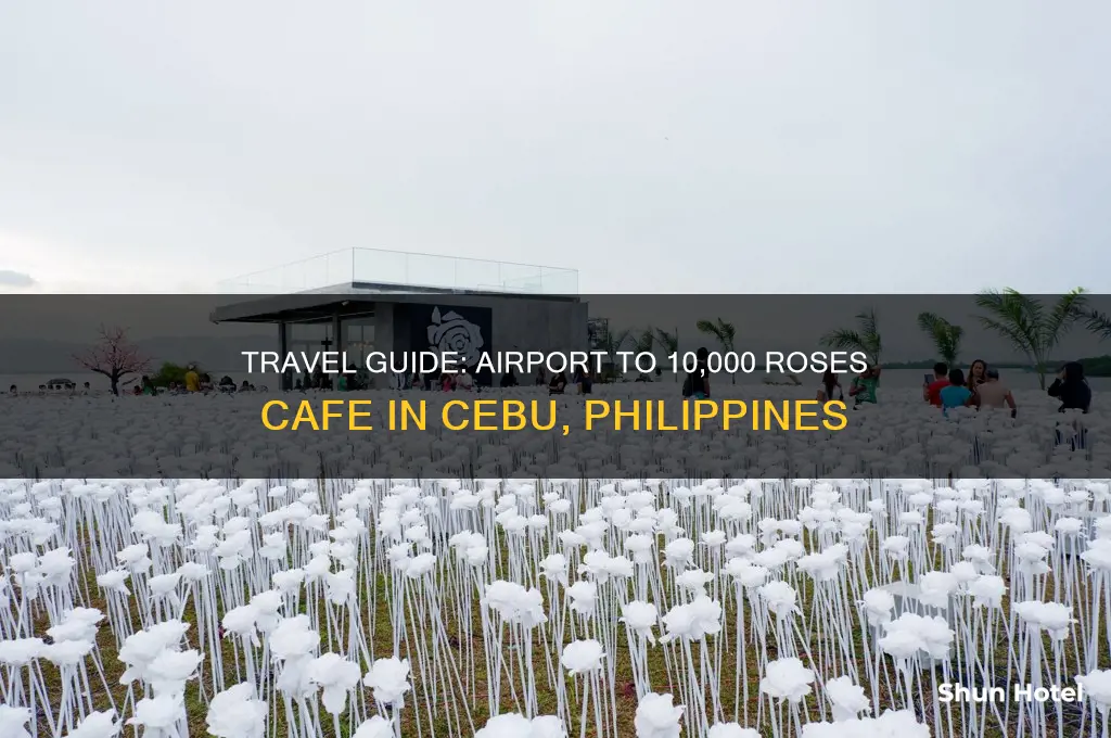 how to get to 10000 roses cafe from airport