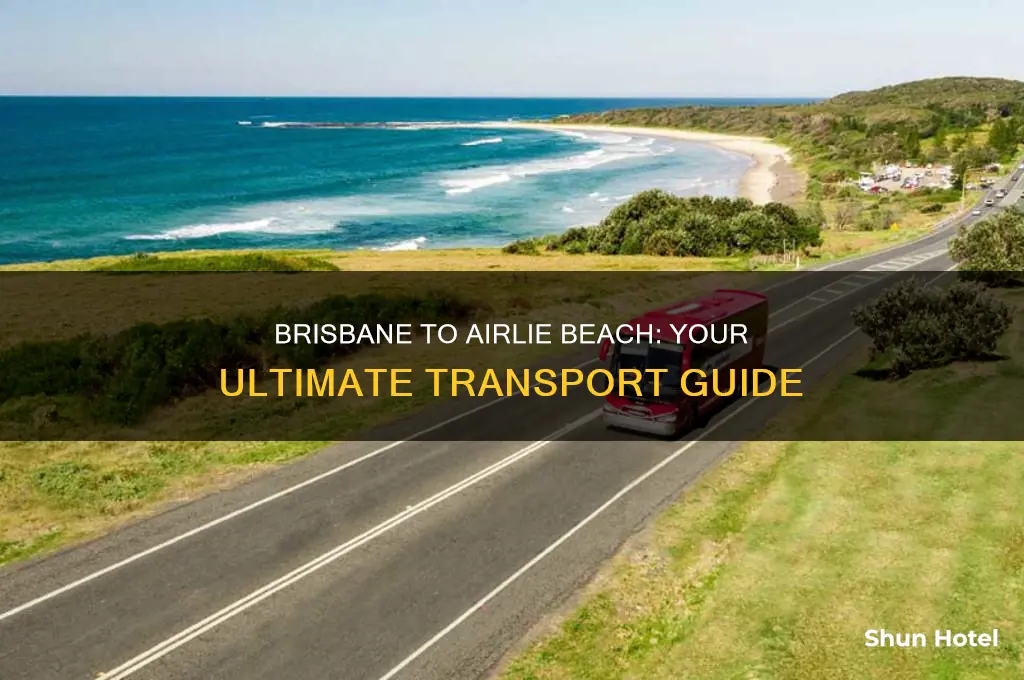 how to get to airlie beach from brisbane airport