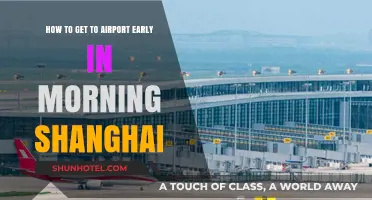 Early Morning Airport Tips: Navigating Shanghai's Traffic for a Stress-Free Departure