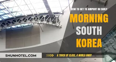 Early Morning Airport Travel Tips for South Korea Visitors