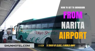 Travel Guide: Narita Airport to Akihabara - Easy Transport Tips