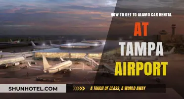 Easy Guide to Finding Alamo Car Rental at Tampa Airport