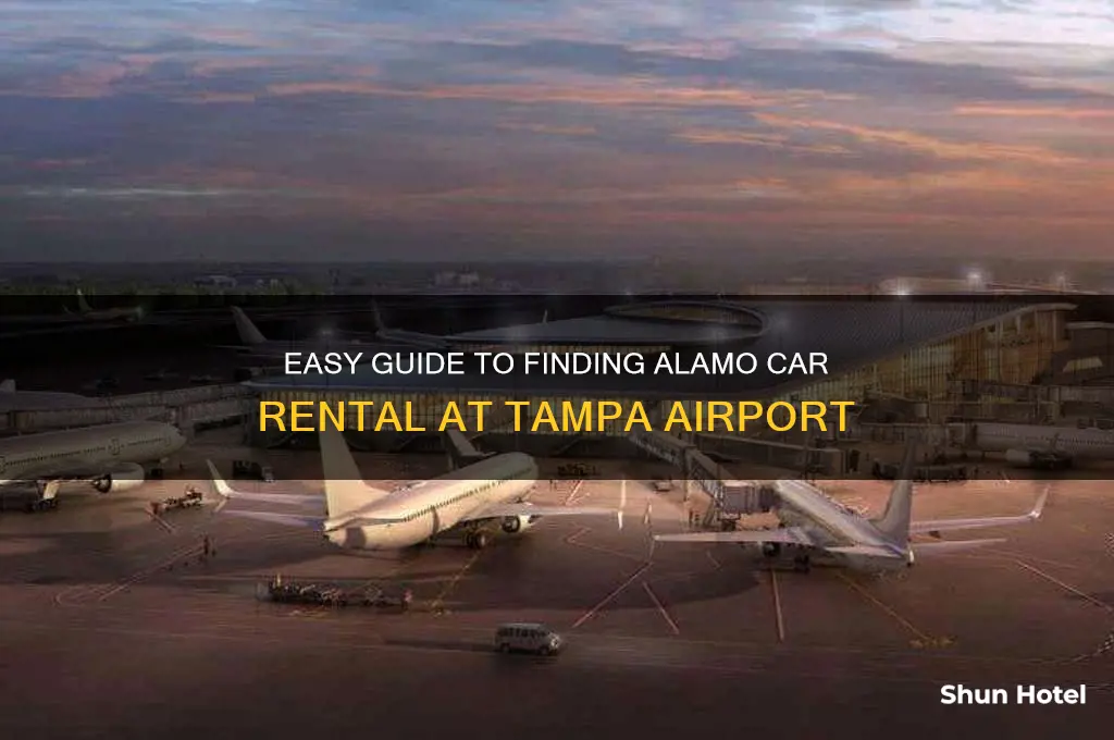 how to get to alamo car rental at tampa airport