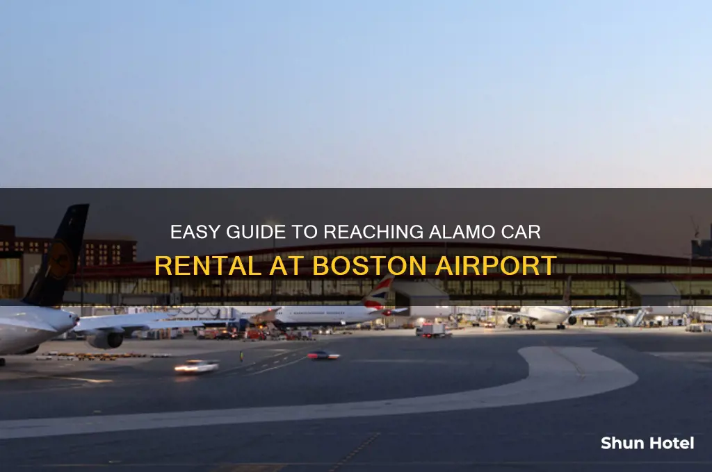 how to get to alamo car rental boston airport