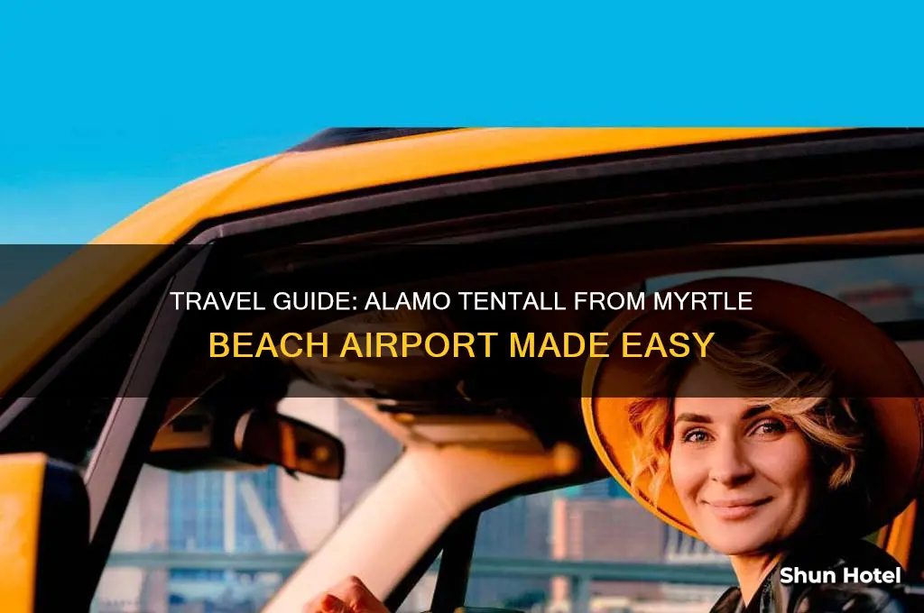how to get to alamo tental from myrtle beach airport