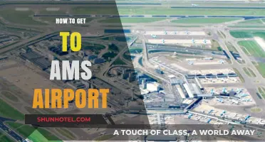 Easiest Ways to Reach Amsterdam Airport Schiphol Stress-Free