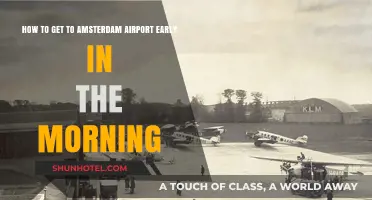 Early Morning Travel Tips: Reaching Amsterdam Airport Stress-Free