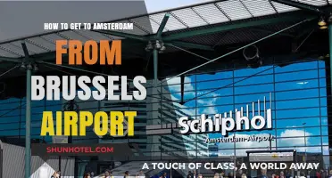 Brussels Airport to Amsterdam: Easy Travel Guide & Transport Options
