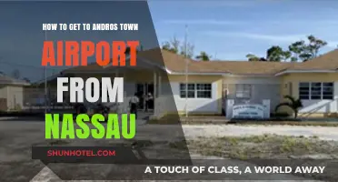 Travel Guide: Nassau to Andros Town Airport Easy Route Tips