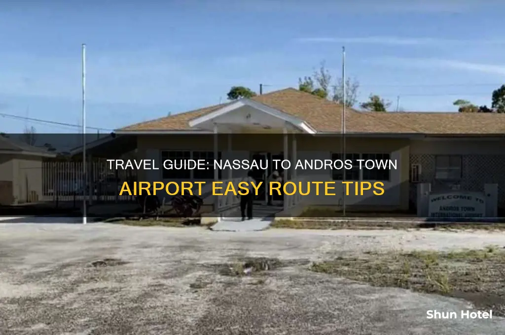 how to get to andros town airport from nassau