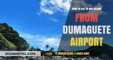 Travel Guide: Dumaguete Airport to Apo Island Easy Route